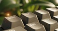 Green Tech Keyboard Ctrl Shift Alt Keys, Nature Background. Sustainable Computing, Eco-Friendly Digital Productivity. Royalty Free Stock Photo