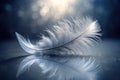 A Delicate Gray Feather Elegant Minimalism in a Studio Macro Shot