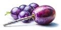 Precisely Pierced Grape Berry A Macro Study of Ripe Fruit Precision and Texture Royalty Free Stock Photo