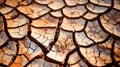 Nature\'s Secrets Unveiled: Close-up of Cracked Fine-Grained Soil