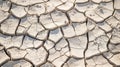 Cracked Earth: A Desolate Landscape of Drought