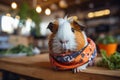 Adorable Guinea Pig Delighting in Carrot Crunch