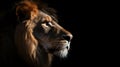 A Captivating Close-Up Portrait of a Male Lion