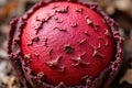 Intricate Patterns and Textured Surface of a Vibrant Red Fruit A Closeup Botanical Study Royalty Free Stock Photo