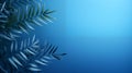 A close up of blueish palm leaves on a blue background Royalty Free Stock Photo