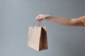 Ai Generative Woman holding paper bag on grey background, closeup. Mockup for design Royalty Free Stock Photo