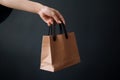 Ai Generative Woman holding paper bag on grey background, closeup. Mockup for design Royalty Free Stock Photo