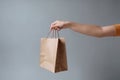 Ai Generative Woman holding paper bag on grey background, closeup. Mockup for design Royalty Free Stock Photo