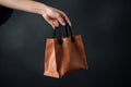 Ai Generative Woman holding paper bag on grey background, closeup. Mockup for design Royalty Free Stock Photo