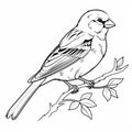 Realistic Sparrow Coloring Page For Toddlers