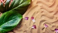 Sandy Beach, Tropical Leaves, Water Drops, Flower Petals Royalty Free Stock Photo