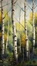 Captivating Contrasts: The Beauty of Colorado\'s White Birch Fore Royalty Free Stock Photo