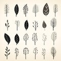 Captivating contrasts: illustrating the allure of black and white plant leafs