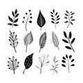 Captivating contrasts: illustrating the allure of grayscale botanicals