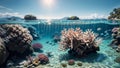 Captivating Corals Amidst Vast Underwater Sky Royalty Free Stock Photo