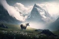 Sheep on the meadow with mountains and clouds in the background