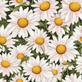 Captivating Daisy Art Floral Pattern