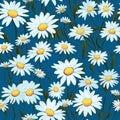 Captivating Daisy Art Seamless Design