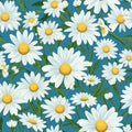 Captivating Daisy Art Seamless Design