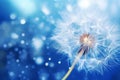 Nature\'s Jewels: A Dazzling Dandelion Seed Glistening with Water Drops on a Blue Background