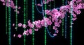 Digital Garden Cherry Blossoms with Binary Code Rain on Black Background Royalty Free Stock Photo