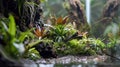 A captivating display featuring a unique mix of hardy land plants and delicate water plants creating a dynamic and