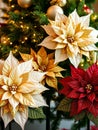 A captivating display of poinsettias in diverse colors, adding charm to the holiday setting.