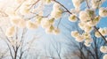 Captivating Easter Springtime Floral Background with Blooming Willow Tree on Sunny Bokeh Backdrop.