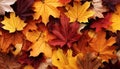 Captivating fall foliage mesmerizing backdrop of vibrant autumn leaves in stunning hues
