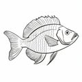 Captivating Fish Outline Drawings: Scientific Illustrations With Bold Black And White Stencils