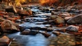 Captivating Forest River: A Stunning Blend Of Nature And Photography