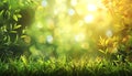 Captivating Fresh Green Leaves and Grass Under Bright Sunlight with Beautiful Bokeh Effect in Nature Royalty Free Stock Photo