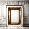 Double Ornate Golden Frames: Illustration with Blank Canvas Royalty Free Stock Photo