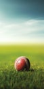 Captivating Image Of Cricket Ball On Grass With Romantic Soft Focus Royalty Free Stock Photo