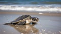 A sea turtle crawling on the sandy beach. generative ai.
