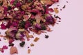 Heap of dried rose petals on pastel pink background. Royalty Free Stock Photo