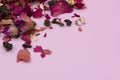 Heap of dry tea leaves with rose petals on pink background Royalty Free Stock Photo