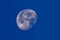 Image of a full moon glowing in a tranquil blue night sky Royalty Free Stock Photo