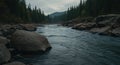 Serene River in Forest Royalty Free Stock Photo