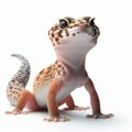 Image of isolated gecko against pure white background, ideal for presentations