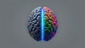 A Striking Visual Representation of the Divided Brain Exploring Hemispheric Differences in a Futuristic Gray and Royalty Free Stock Photo