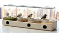 Urban Aviary Window Feeder