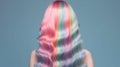 Back of woman with unicorn colored hair on blue background