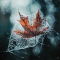 Intricate Spider Web Capturing a Leaf in a Macro Perspective with Stunning Textures Highlights Royalty Free Stock Photo