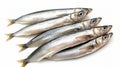 five anchovies arranged against a pristine white background