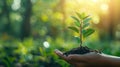 Eco-friendly Hand Holding Tree on Green Nature Background - Earth Day Concept Royalty Free Stock Photo