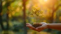 Eco-friendly Hand Holding Tree on Green Nature Background - Earth Day Concept Royalty Free Stock Photo