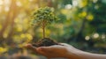 Eco-friendly Hand Holding Tree on Green Nature Background - Earth Day Concept Royalty Free Stock Photo
