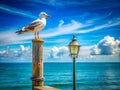 Majestic Seagull on Pier Light Post Stunning Ocean Scenery for Captivating Visual Marketing Royalty Free Stock Photo