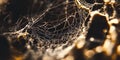 A close-up view of a delicate spider web glistening with dew drops in soft natural light. The intricate patterns create Royalty Free Stock Photo